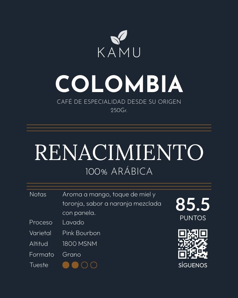 Renacimiento | Colombia - Imagen 2