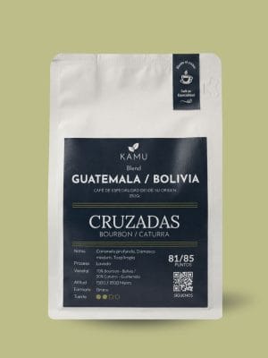 Cruzadas | Guatemala - Bolivia