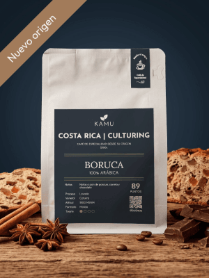 Boruca | Costa Rica